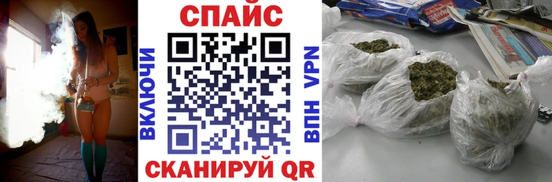 mega tor Всеволожск БУТИРАТ буратино
