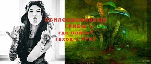 скорость Алзамай